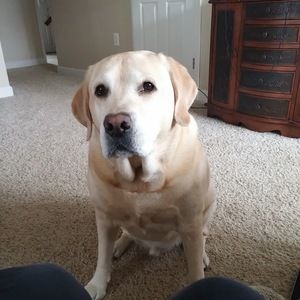 Meet your Posher, Kacie